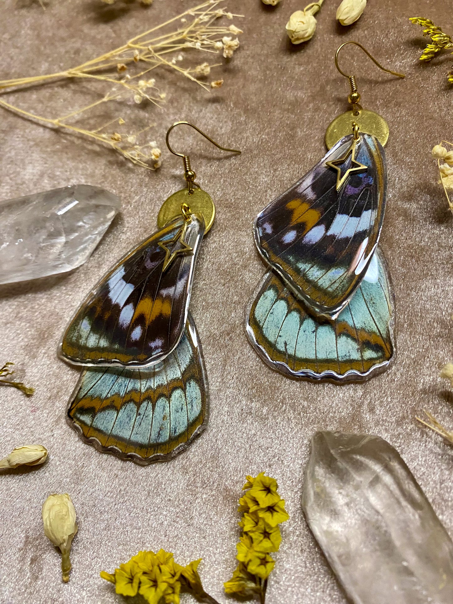 Schrenck's Emperor Butterfly Wing Earrings