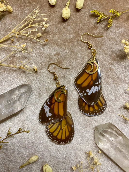 resin real monarch butterfly wing specimen dangle earrings