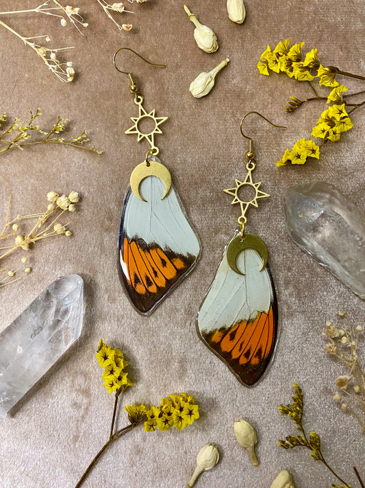 resin great orange tip real butterfly specimen dangle earrings