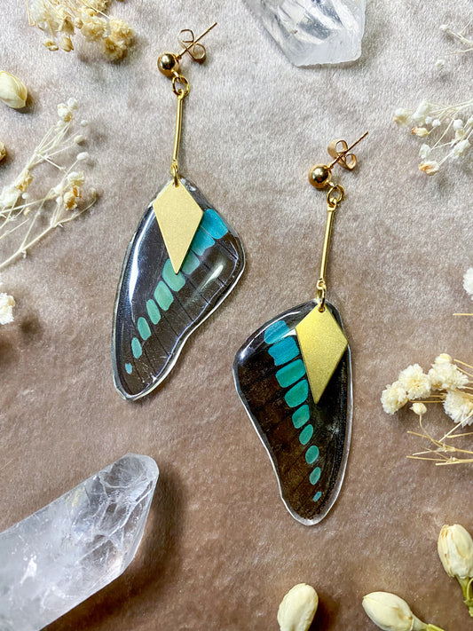Bluebottle Butterfly Earrings (Top Wing)