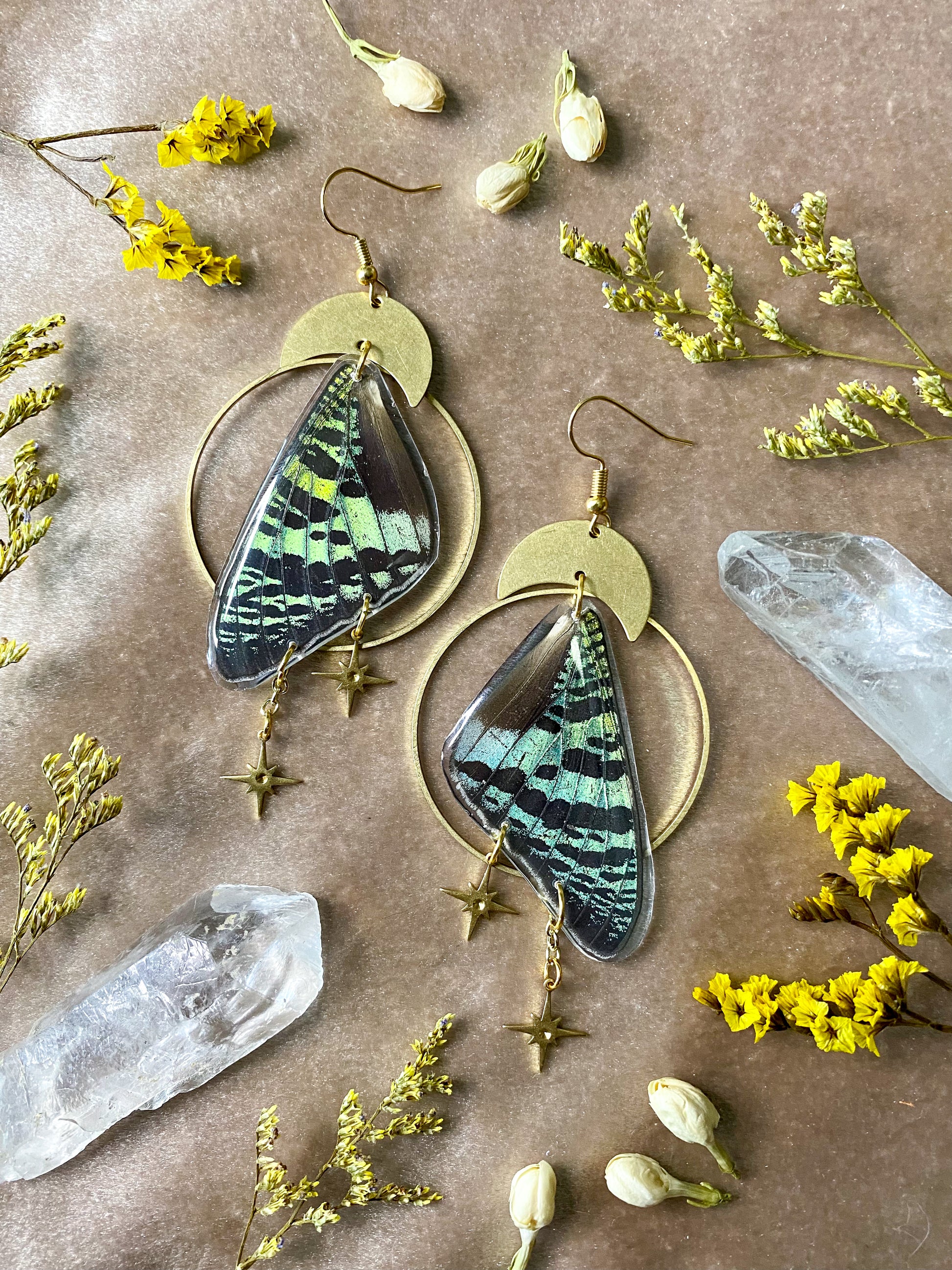 real madagascan moth resin earrings