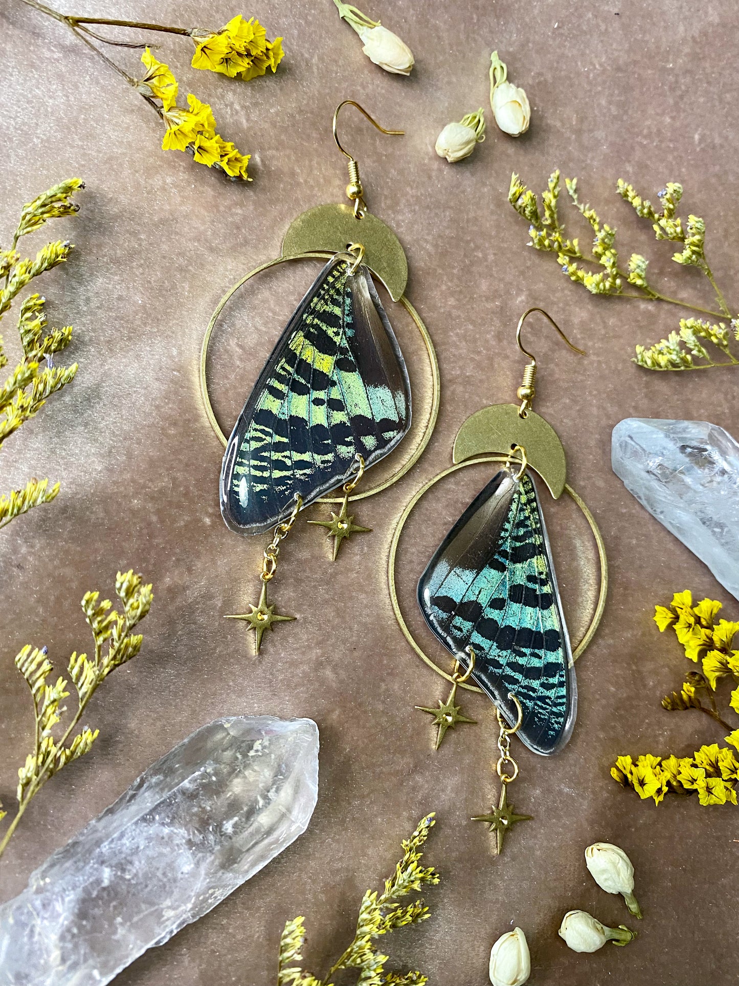 Madagascan Green Sunset Moth Earrings