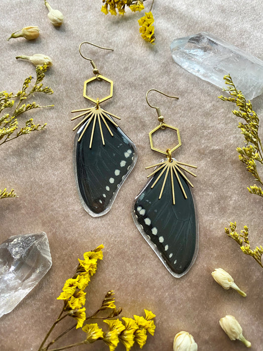 black butterfly earrings