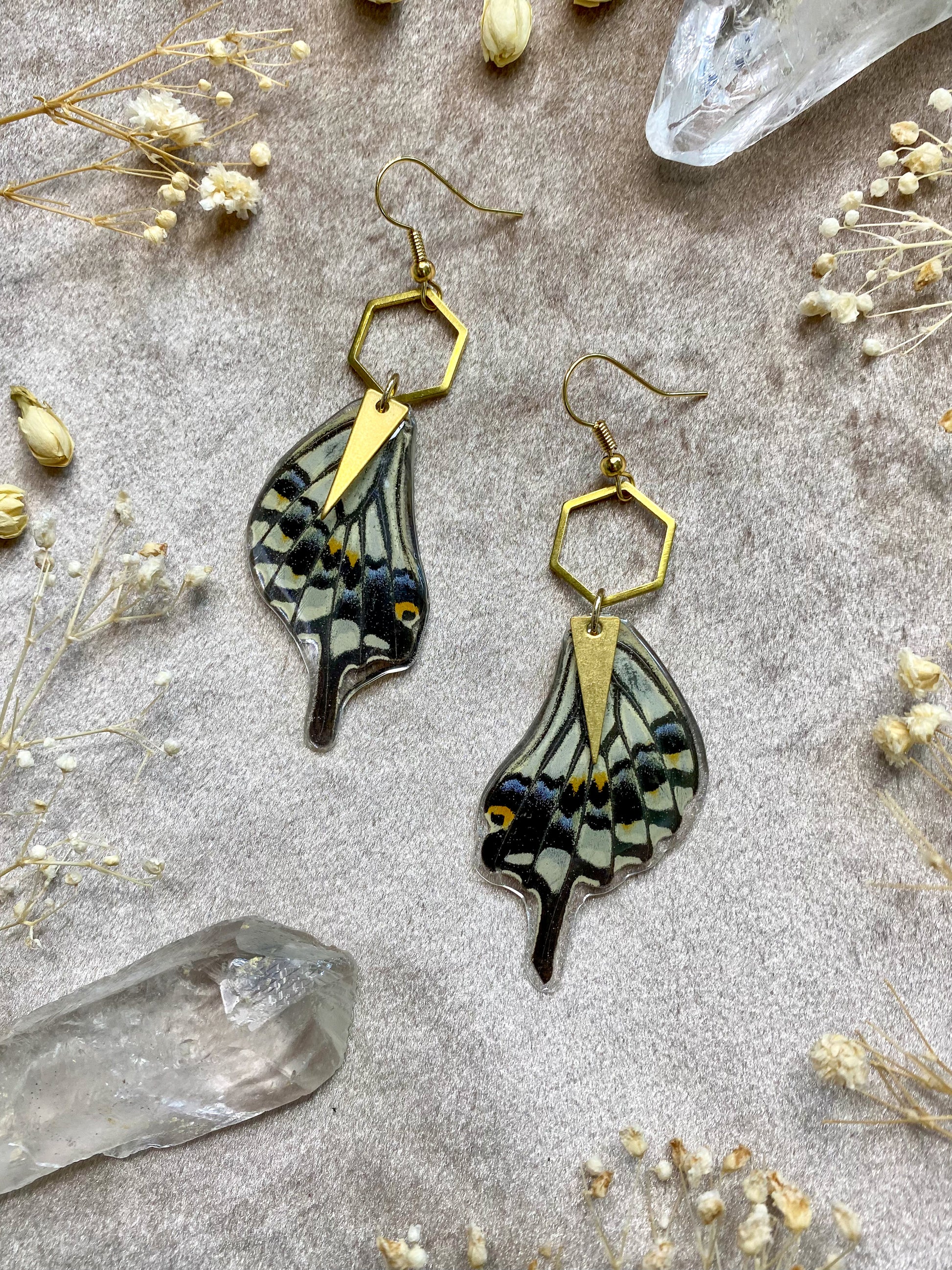 Real Asian swallowtail butterfly resin earrings