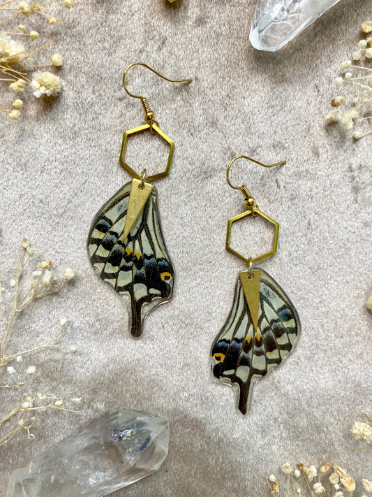 Black and White Asian Swallowtail Butterfly Wing Earrings (Bottom Wings)