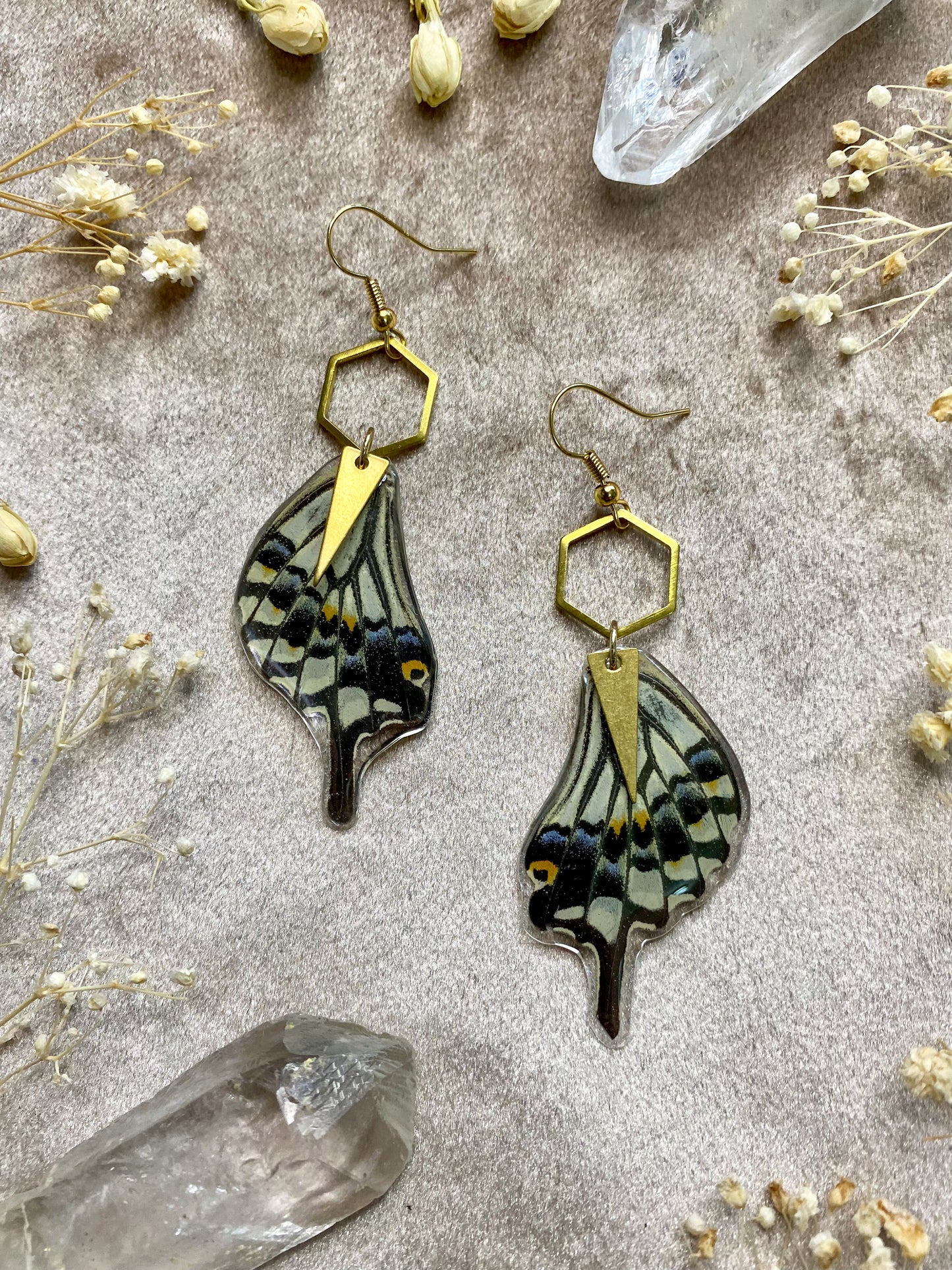Black and White Asian Swallowtail Butterfly Wing Earrings (Bottom Wings)
