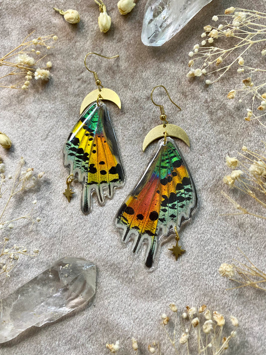 real madagascan sunset moth resin dangle earrings