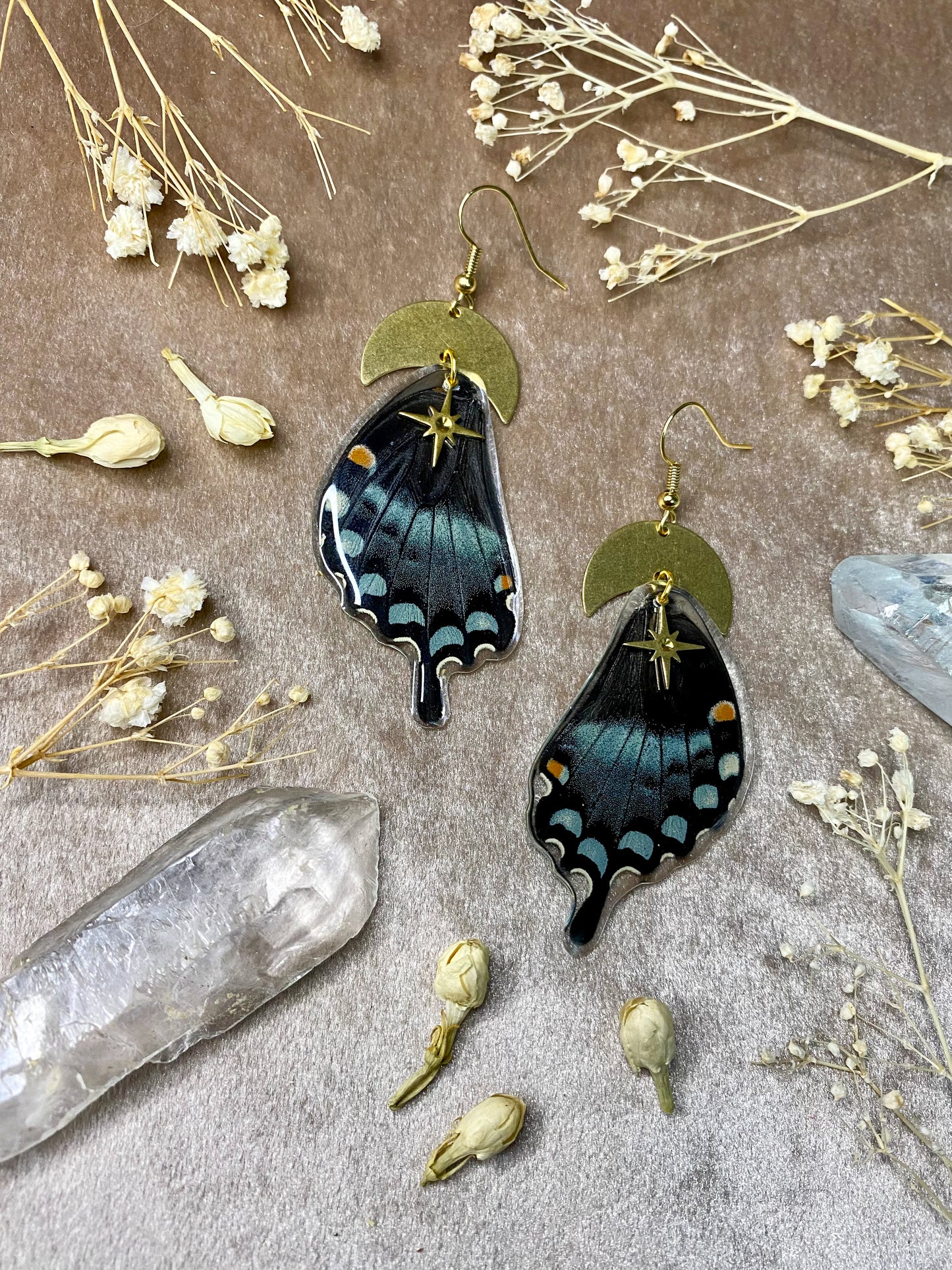 Real Spicebush swallowtail resin butterfly earrings
