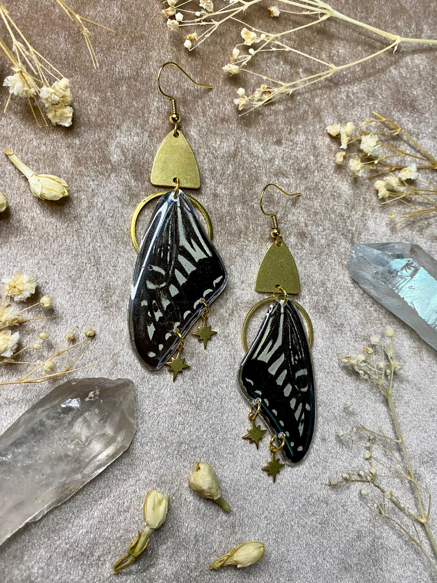Black and White Asian Swallowtail Butterfly Wing Earrings (Top Wings)