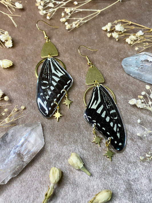 Black and White Asian Swallowtail Butterfly Wing Earrings (Top Wings)