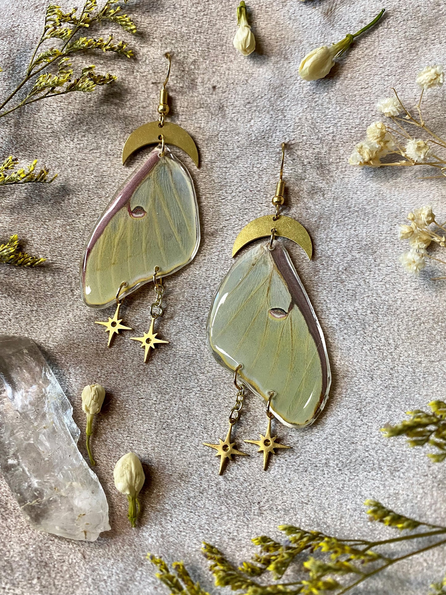 Real luna moth earrings