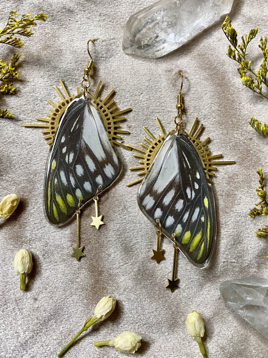 Butterfly Earrings- Winged Creature Moth Monarch Insect Luna Bug Acrylic  Laser Cut Iridescent Reflective Rainbow Opalescent Festival Rave
