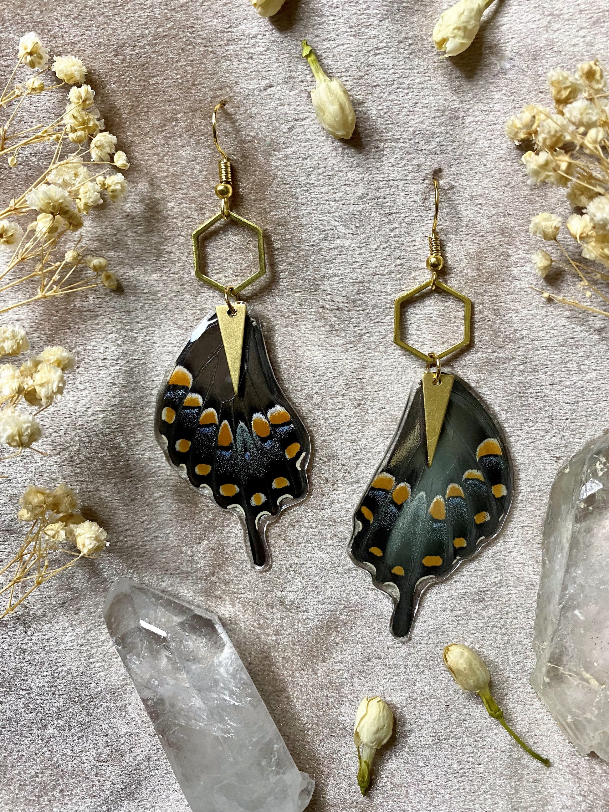 real Spicebush swallowtail butterfly resin earrings